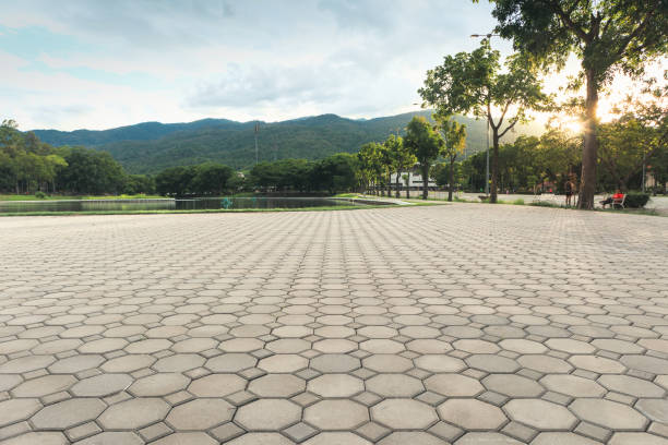 Best Residential Driveway Paver Services  in Horn Lake, MS